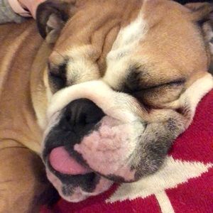 Meet your Posher, Shelli